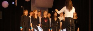 Udział w ogólnopolskich konkursach, festiwalach, koncertach oraz recitalach