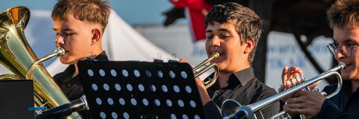 Pod skrzydłami muzyki